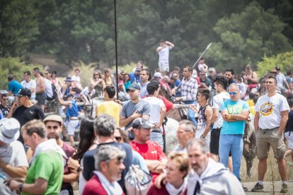 La Saca 2022 en el monte.-GONZALO MONTESEGURO