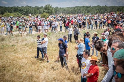 La Saca 2022 en el monte.-GONZALO MONTESEGURO