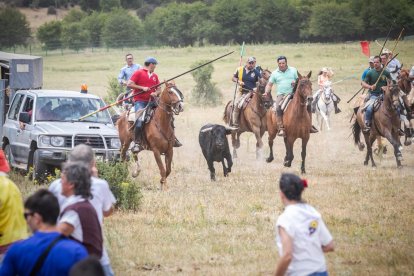 La Saca 2022 en el monte.-GONZALO MONTESEGURO