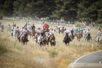 La Saca 2022 en el monte.-GONZALO MONTESEGURO
