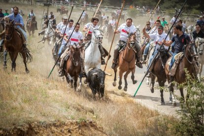 La Saca 2022 en el monte.-GONZALO MONTESEGURO