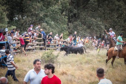 La Saca 2022 en el monte.-GONZALO MONTESEGURO