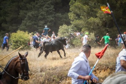 La Saca 2022 en el monte.-GONZALO MONTESEGURO