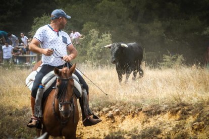 La Saca 2022 en el monte.-GONZALO MONTESEGURO