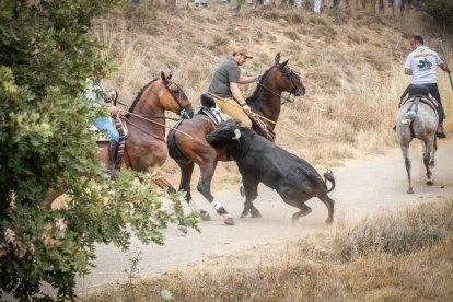 La Saca 2022 en el monte.-GONZALO MONTESEGURO