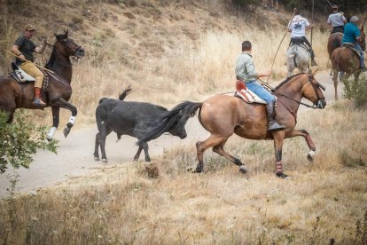 La Saca 2022 en el monte.-GONZALO MONTESEGURO