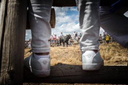 La Saca 2022 en el monte.-GONZALO MONTESEGURO