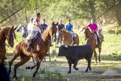 San Juan La comprilla - MARIO TEJEDOR (21)