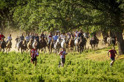 San Juan La comprilla - MARIO TEJEDOR (14)