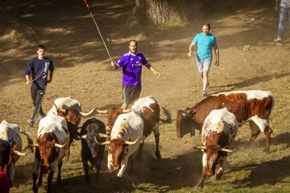 San Juan La comprilla - MARIO TEJEDOR (28)