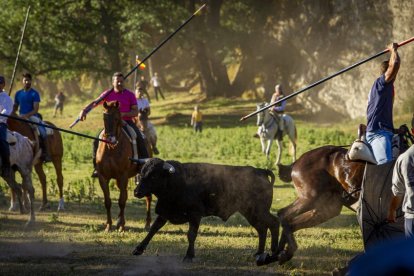 San Juan La comprilla - MARIO TEJEDOR (20)