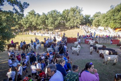 San Juan La comprilla - MARIO TEJEDOR (7)