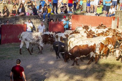 San Juan La comprilla - MARIO TEJEDOR (9)