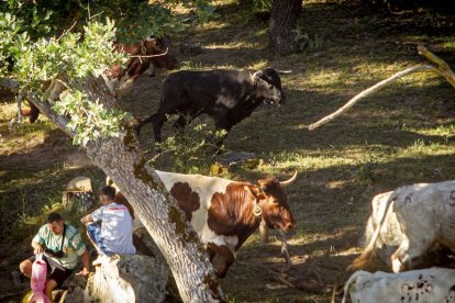 San Juan La comprilla - MARIO TEJEDOR (25)