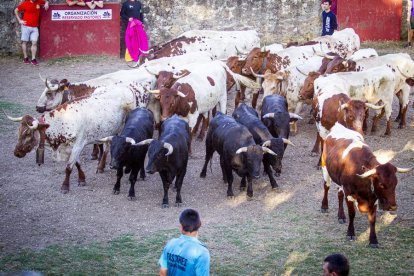 San Juan La comprilla - MARIO TEJEDOR (10)