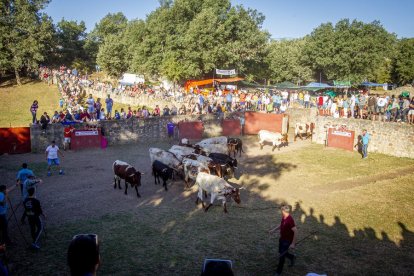 San Juan La comprilla - MARIO TEJEDOR (11)