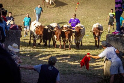 San Juan La comprilla - MARIO TEJEDOR (31)