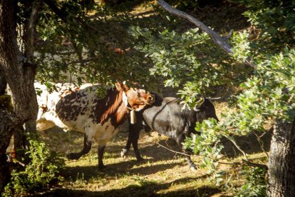 San Juan La comprilla - MARIO TEJEDOR (24)