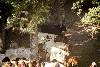 San Juan La comprilla - MARIO TEJEDOR (26)