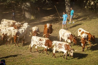 San Juan La comprilla - MARIO TEJEDOR (27)