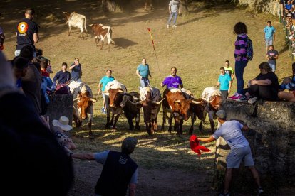 San Juan La comprilla - MARIO TEJEDOR (32)