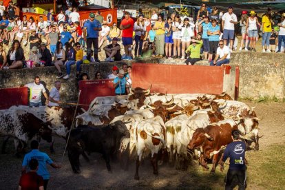 San Juan La comprilla - MARIO TEJEDOR (8)