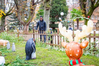 Zoo de luz de la Dehesa. MARIO TEJEDOR (25)