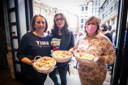 061_GM_catapan22_010522