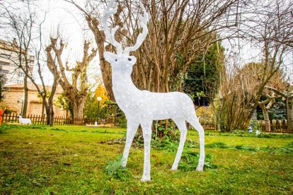 Zoo de luz de la Dehesa. MARIO TEJEDOR (15)