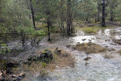 IMG_20221214_111543_1