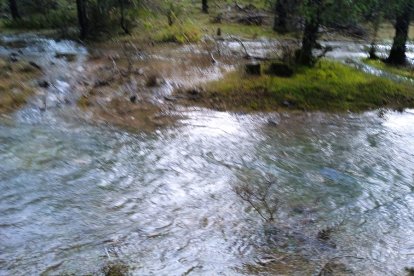 La Onseca, en Santa María de las Hoyas (Soria), vuelve a brotar gracias a las lluvias. HDS