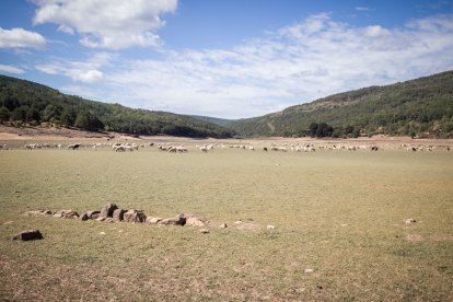 El embalse de Cuerda del Pozo y el puente de Vinuesa, imagen de la sequía. GONZALO MONTESEGURO