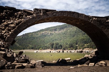 El embalse de Cuerda del Pozo y el puente de Vinuesa, imagen de la sequía. GONZALO MONTESEGURO