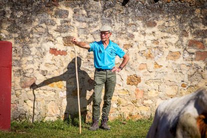 Los Toros del Jueves la Saca ya están en Valonsadero - MARIO TEJEDOR (4)