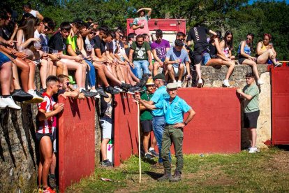Los Toros del Jueves la Saca ya están en Valonsadero - MARIO TEJEDOR (5)