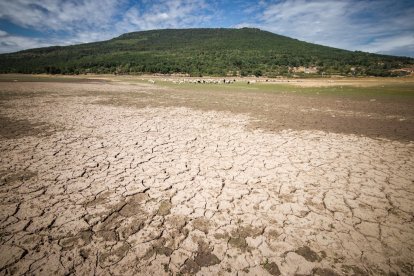 El embalse de Cuerda del Pozo y el puente de Vinuesa, imagen de la sequía. GONZALO MONTESEGURO