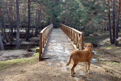 Puente de Santo Domingo, del siglo XII, declarado Bien de Interés Cultural.