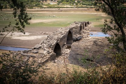 El embalse de Cuerda del Pozo y el puente de Vinuesa, imagen de la sequía. GONZALO MONTESEGURO