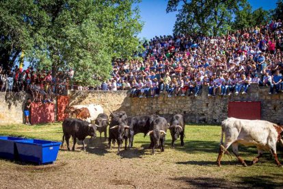 Los Toros del Jueves la Saca ya están en Valonsadero - MARIO TEJEDOR (18)