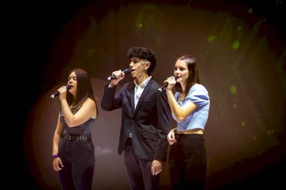 Gala benéfica Vamos a dar el cante de Asovica Fadess - MARIO TEJEDOR (4)