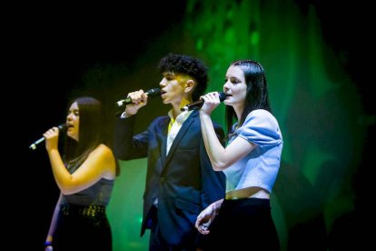 Gala benéfica Vamos a dar el cante de Asovica Fadess - MARIO TEJEDOR (5)