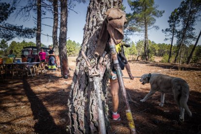 Demostración de resina en Tardelcuende.-GONZALO MONTESEGURO