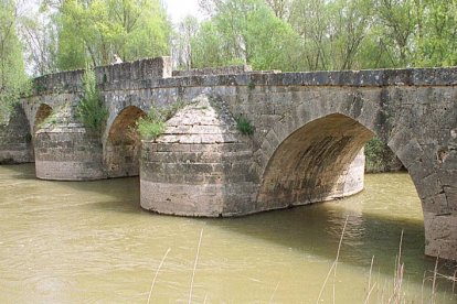 AÑO 2002. El puente de Andaluz presentaba un buen aspecto con todos los sillares en su sitio. Los tajamares presentaban un aspecto compacto. La vegetación ya crecía entre las juntas de los sillares menos verticales.-VALENTÍN GUISANDE