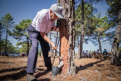 Demostración de resina en Tardelcuende.-GONZALO MONTESEGURO