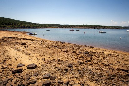 La sequía deja una estampa dramática en el embalse de la Cuerda del Pozo - MARIO TEJEDOR (2)