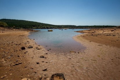 La sequía deja una estampa dramática en el embalse de la Cuerda del Pozo - MARIO TEJEDOR (3)