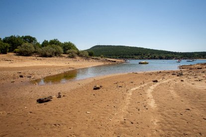 La sequía deja una estampa dramática en el embalse de la Cuerda del Pozo - MARIO TEJEDOR (4)