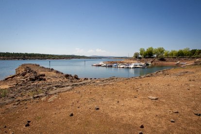 La sequía deja una estampa dramática en el embalse de la Cuerda del Pozo - MARIO TEJEDOR (6)