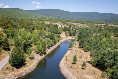 La sequía deja una estampa dramática en el embalse de la Cuerda del Pozo - MARIO TEJEDOR (13)