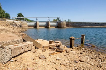 La sequía deja una estampa dramática en el embalse de la Cuerda del Pozo - MARIO TEJEDOR (14)
